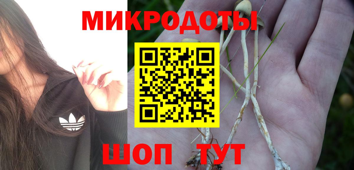 наркотики  Галлюциногенные грибы Cubensis  Вятские Поляны  Вход с VPN  Псилоцибиновые грибы мицелий 
